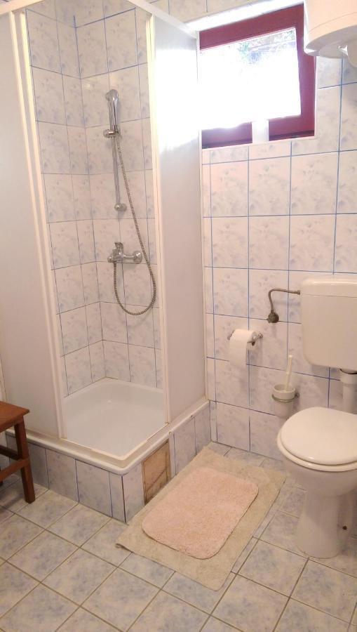 Apartman Knezevic Apartment Рукавац Екстериор снимка